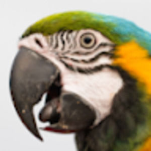 Meet your Posher, Some